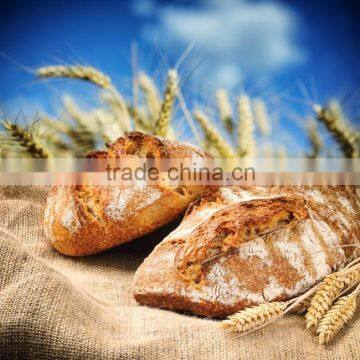 supply high food grade malt extract in baking products