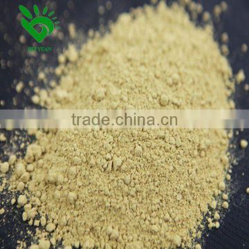 Grade A Yellow Ginger Powder