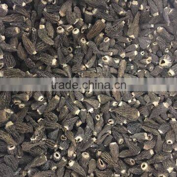 high quality dried morchella conica special grade