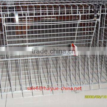 Taiyu Design Day Old Chicks Cage for Sale