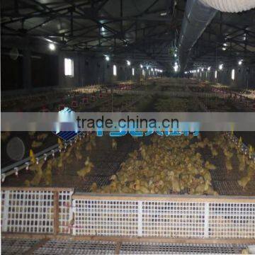 chicken farm equipment plastic poultry slat floor