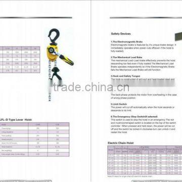 electric or manual chain hoist