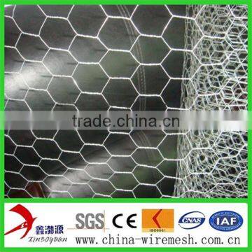 Hexagonal Wire Mesh/chicken Wire Mesh for Cultivation photo-2