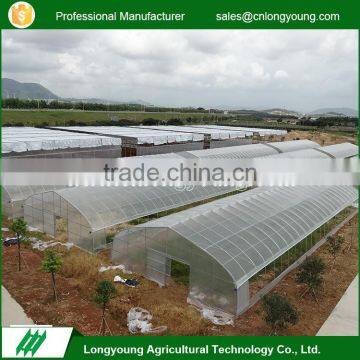 Factory custom commercial single tunnel polytunnel greenhouse