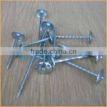 Top Quality Galvanised Roofing Nail With Umbrella Head Trusted Chuanghe Suppliers From Com photo-6
