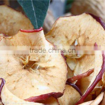 100-120 kg High Quality Fruit Drying Machine/fruit Dryer With CE Approved
