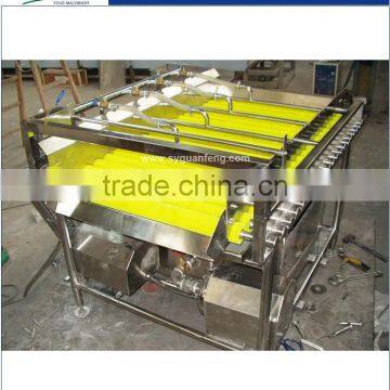 GP-I Pre-treatment Production Line for Quick Frozen Vegetable photo-3
