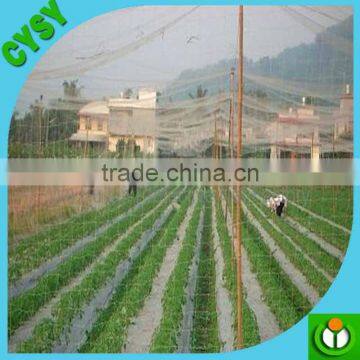 Mist Net Nylon Bird Capture Netting/structural Bird Netting/preminum Bird Netting photo-5
