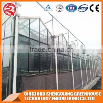 Solar Glass Greenhouse With Low Cost Shading Systems for Sale photo-4