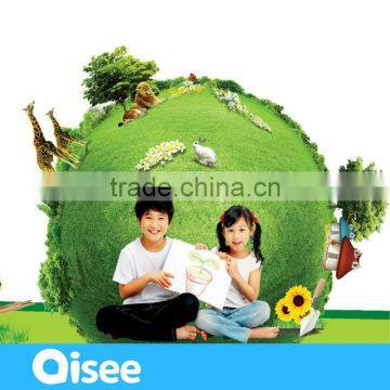 2015 China Supplier Green Globe Science Toy for Kids