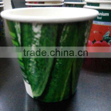 Paper box planting,mini garden planter,best selling products