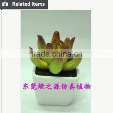 Varied Artificial Succulents Wholesale Artificial Mini Succulents Potted photo-5