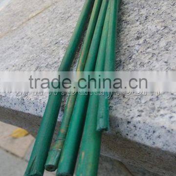 Plastic Coated Bamboo Canes photo-3