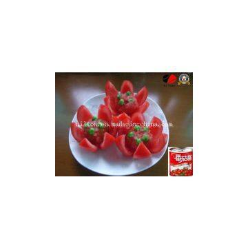 Xinjiang Supplying for Nilton Tomato Paste Ketchup