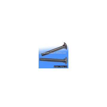 Carriage bolt