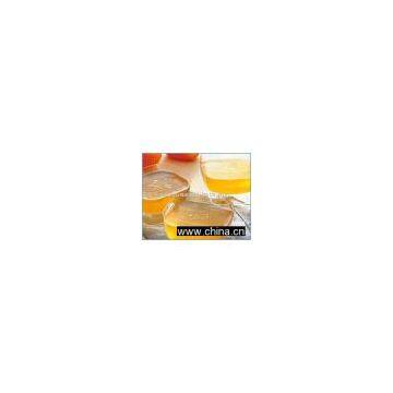 Edible Gelatin