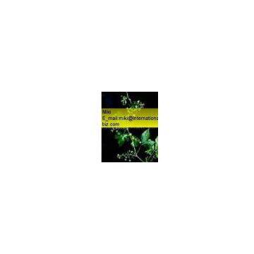 Fiveleaf Gynostemma Herb Extract