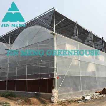 Multi-span For Rose Growing Polythene Greenhouse Plastic Film Greenhouse