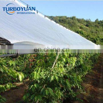 chile cherry tree reinforced fabric top rain plastic cover fruit tree covers