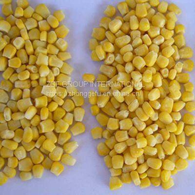 Frozen Sweet Corn photo-2