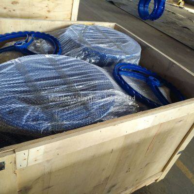 BS Big Size Resilient Seated Gate Valve photo-2