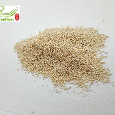 Erythromycin Extraction Resin