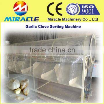 Sorter machine for garlic clove/dry garlic size sorting & grading machine