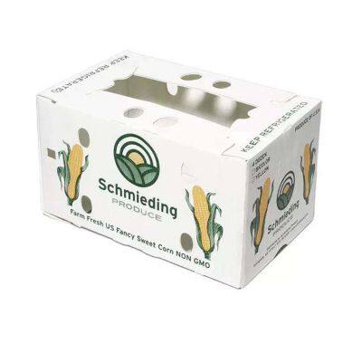PP Corrugated Plastic BOX Corflute correx Okra Box for Agriculture Vegetable Box
