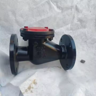 GB Swing Start Type Check Valve PN10 PN16 Grey Cast Iron HT200 Flange Metal Seal Factory Price Hot Selling Swing Check Valve photo-4