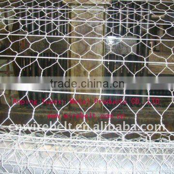 hexagonal wire mesh