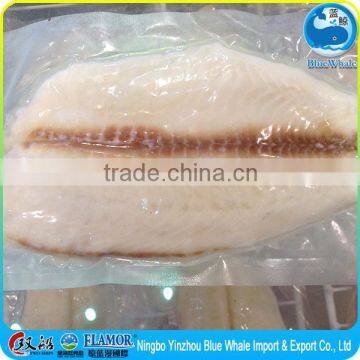 Supply Frozen tilapia fish fillet price