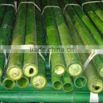 Bamboo pole Sun-029