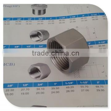 Screwed 1" Cap Hex Socket Head in 316 Stainless Steel