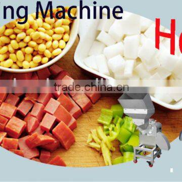 vegetable and fruit dicing machine
