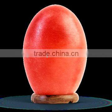 Egg Geometrical Shape Himalayan Salt Lamp