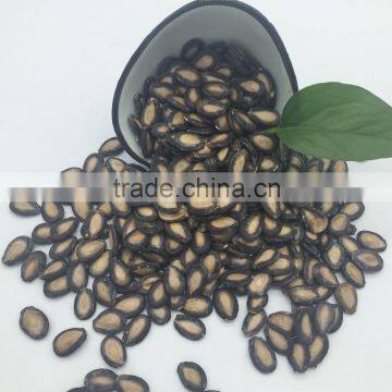 Chinese Watermelon Seed photo-3