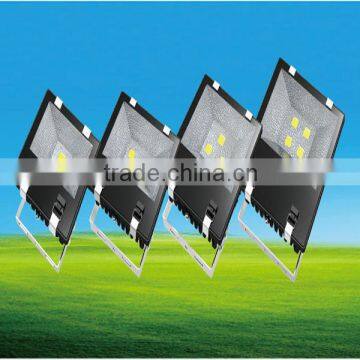 50W color changing led floodlight bridgelux 110v led floodlight