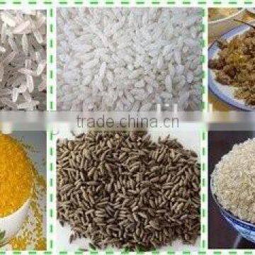 Instant Rice/nutritional Rice Production Line