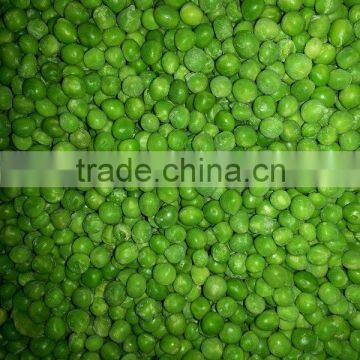 Frozen IQF green peas with good quality and hot price