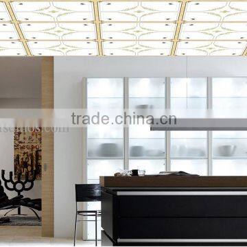 Foshan Factory Suspended Ceiling Tiles with led suspended ceiling light