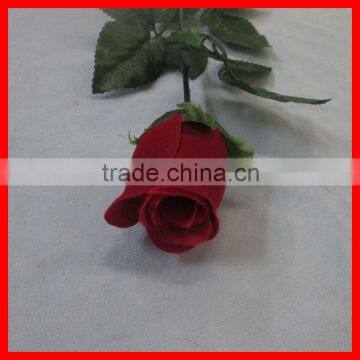 Lover single red rose flower