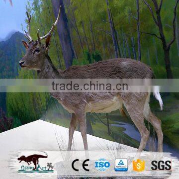 Supply many life size animals animatronic deer display for kids