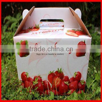 High-- Capacity Large Custom Fancy CMYK Strawberry Printing Fruit Packaging Storage Box