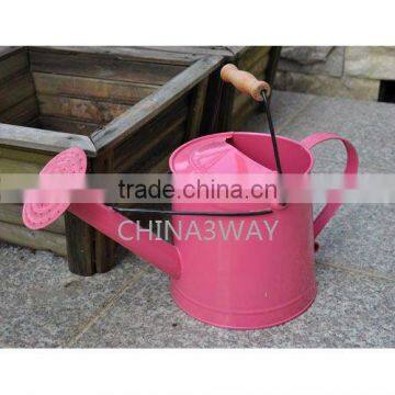 Countryside Garden Watering Can Metal Flower Pot