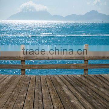 20ft x 10ft Scenic Digital Background For Photograph Studio