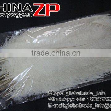 CHINAZP Trade Assurance Gold Supplier Size Frcom 20inch to 22inch White Ostrich Feather for Wedding Centerpiece photo-5