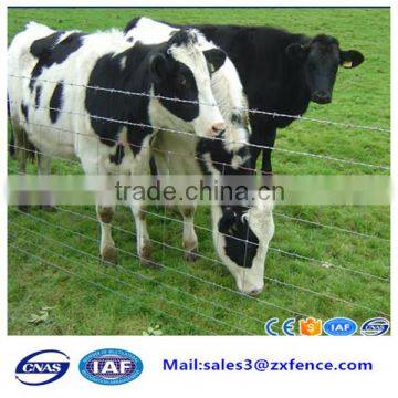 Best Sale Export Factory Pig Fence,goat Fence, Cow Fence photo-2