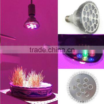 XQD Cob Led Grow Light Bulb Led Par Hydroponic Full Spectrum photo-4