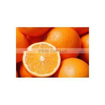 Fresh Naval and Valencia Oranges