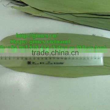 Viet Nam big size bamboo leaves